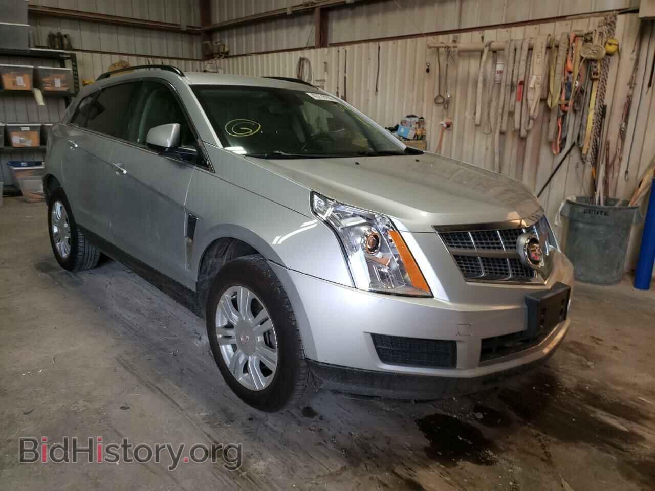 Фотография 3GYFNGEY4AS534349 - CADILLAC SRX 2010