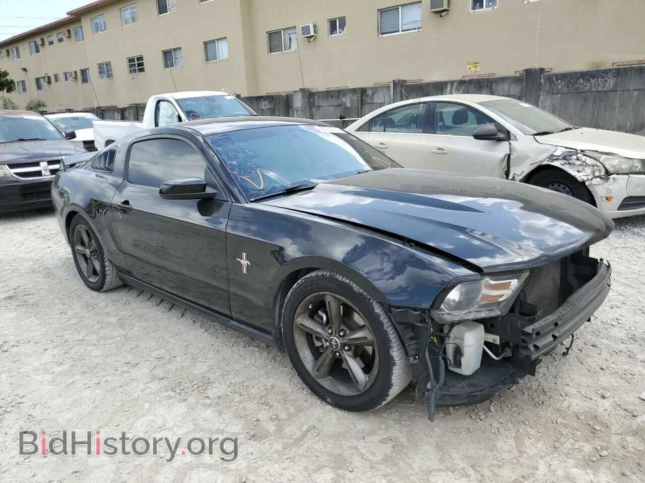 2011 FORD MUSTANG - VIN: 1ZVBP8AM2B5167791 - Фото 4