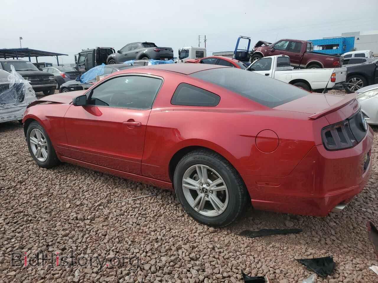2013 FORD ALL Models - VIN: 1ZVBP8AM5D5279889 - Фото 2