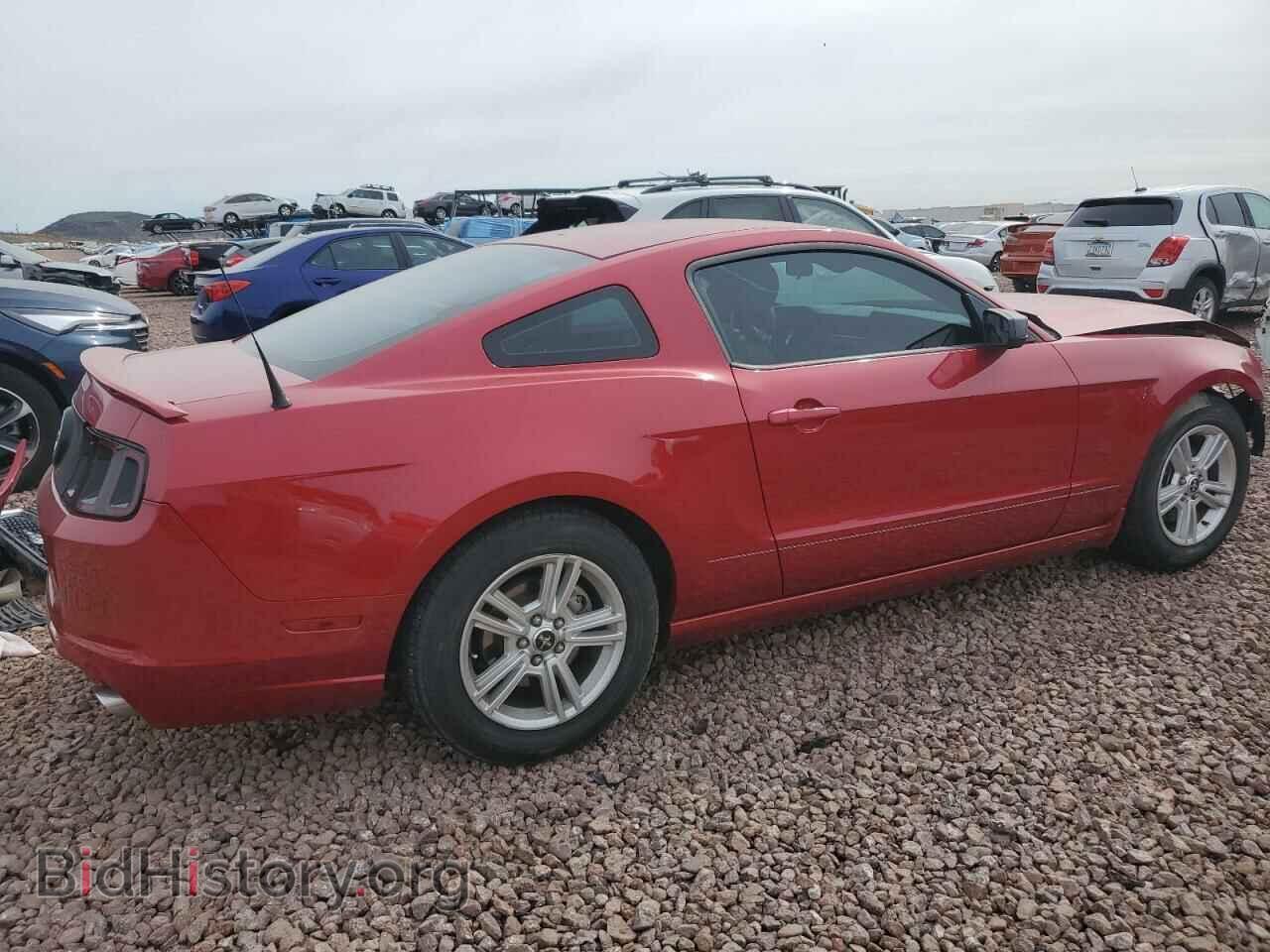 2013 FORD ALL Models - VIN: 1ZVBP8AM5D5279889 - Фото 3
