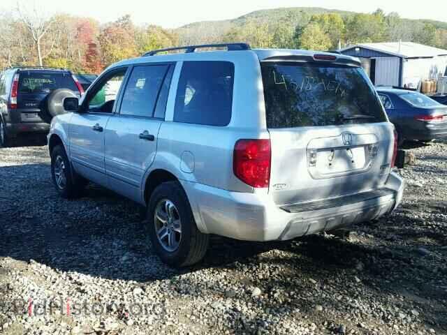 2005 HONDA PILOT - VIN: 5FNYF18545B060458 - Фото 3