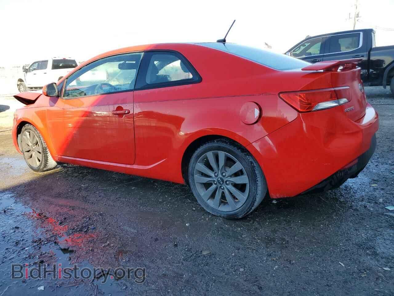 2013 KIA FORTE - VIN: KNAFW6A38D5688761 - Фото 2