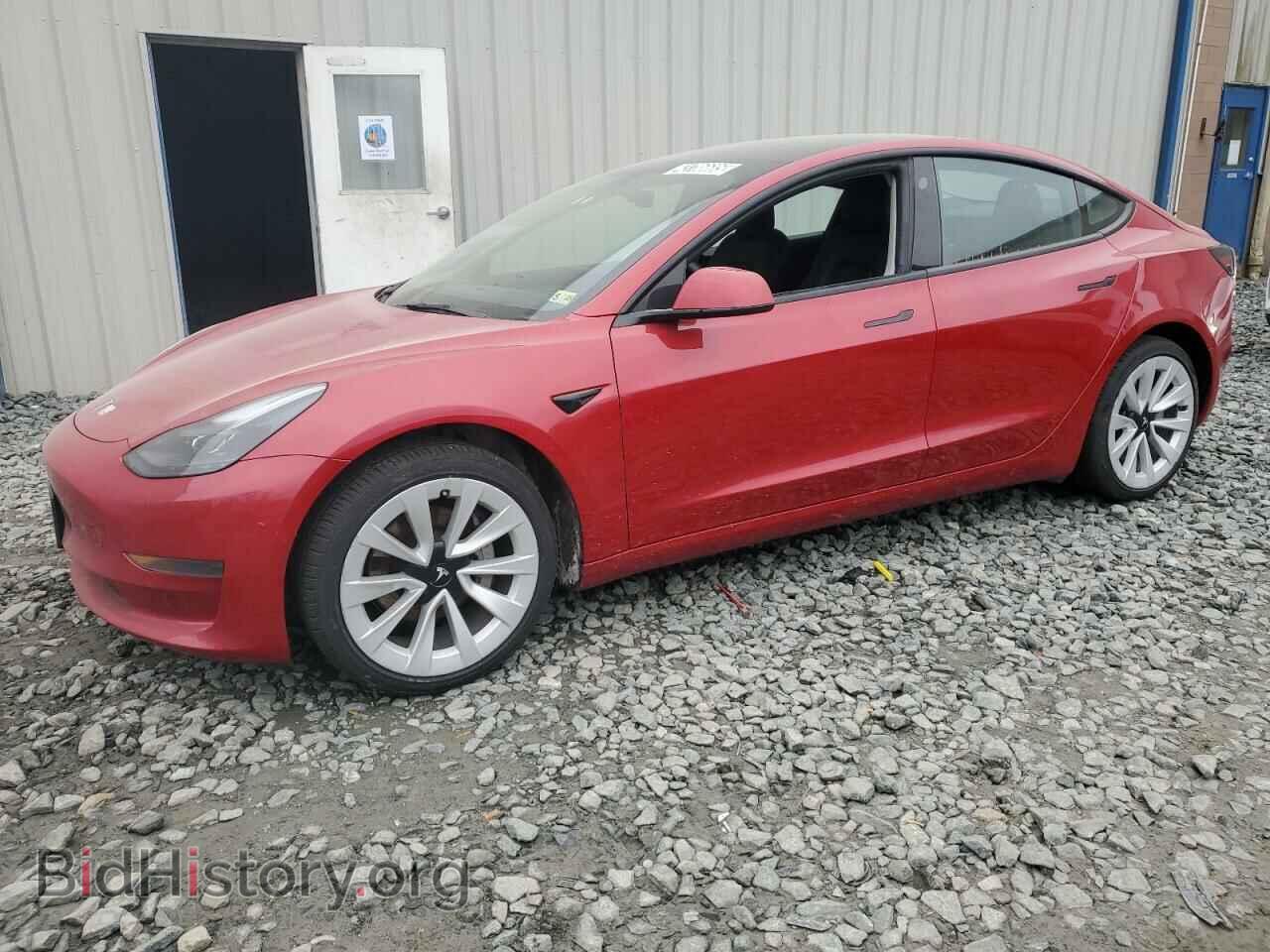 Photo 5YJ3E1EA1NF290764 - TESLA MODEL 3 2022