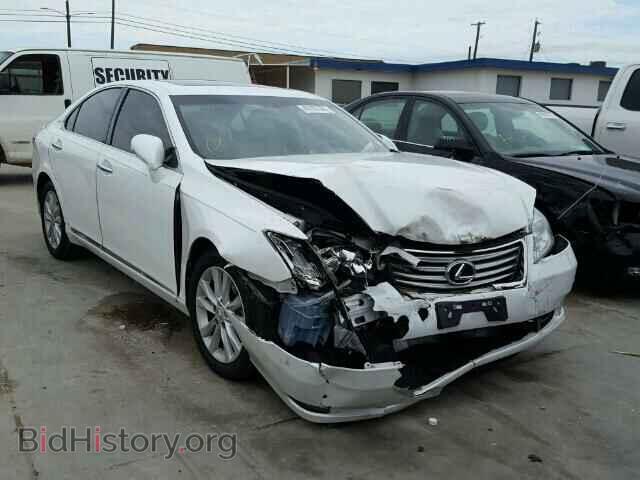 Фотография JTHBK1EG4B2452117 - LEXUS ES 350 2011