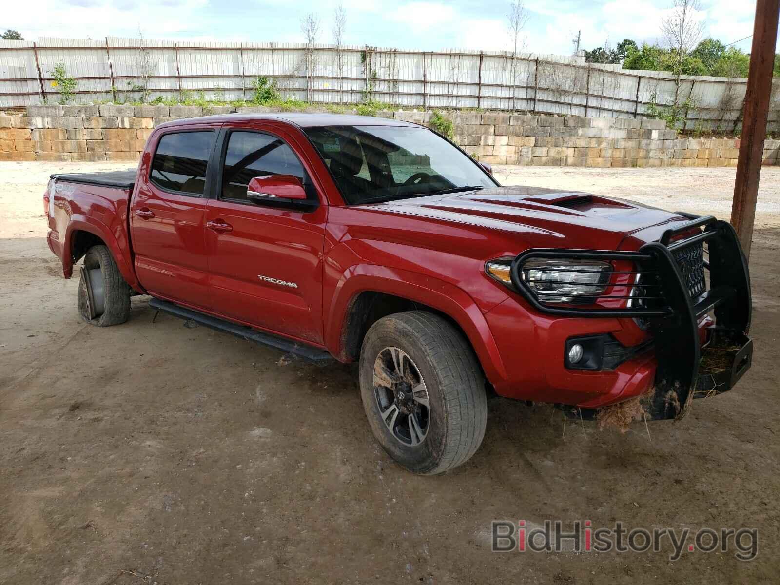 Photo 3TMCZ5AN1KM226512 - TOYOTA TACOMA 2019