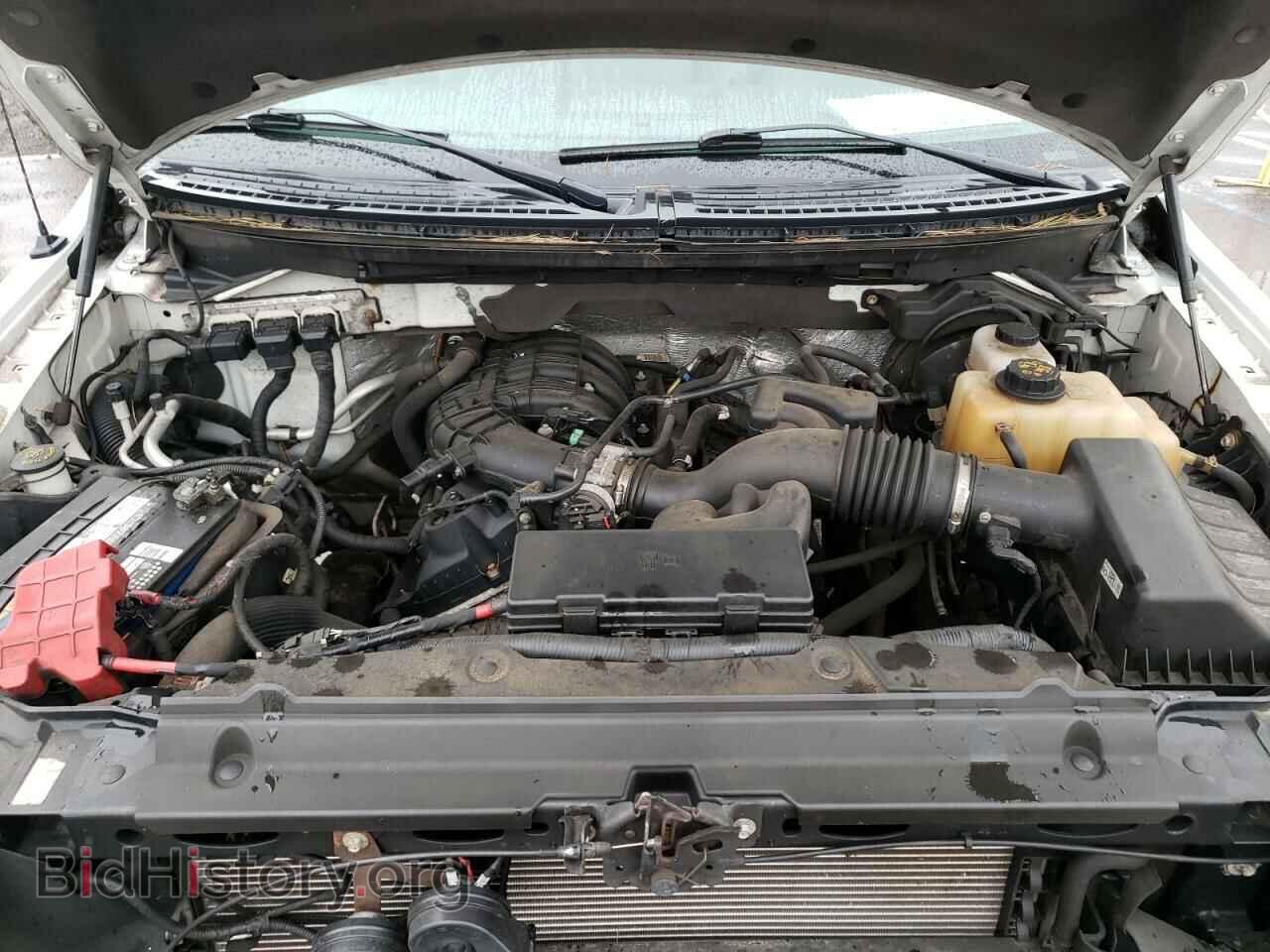 2013 FORD F150 - VIN: 1FTMF1EM9DKD83318 - Фото 7