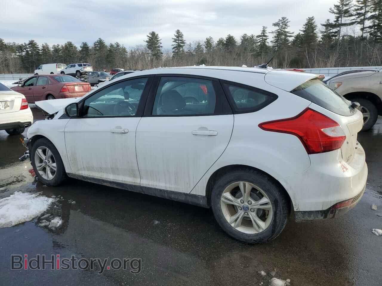 2013 FORD FOCUS - VIN: 1FADP3K29DL254801 - Фото 2