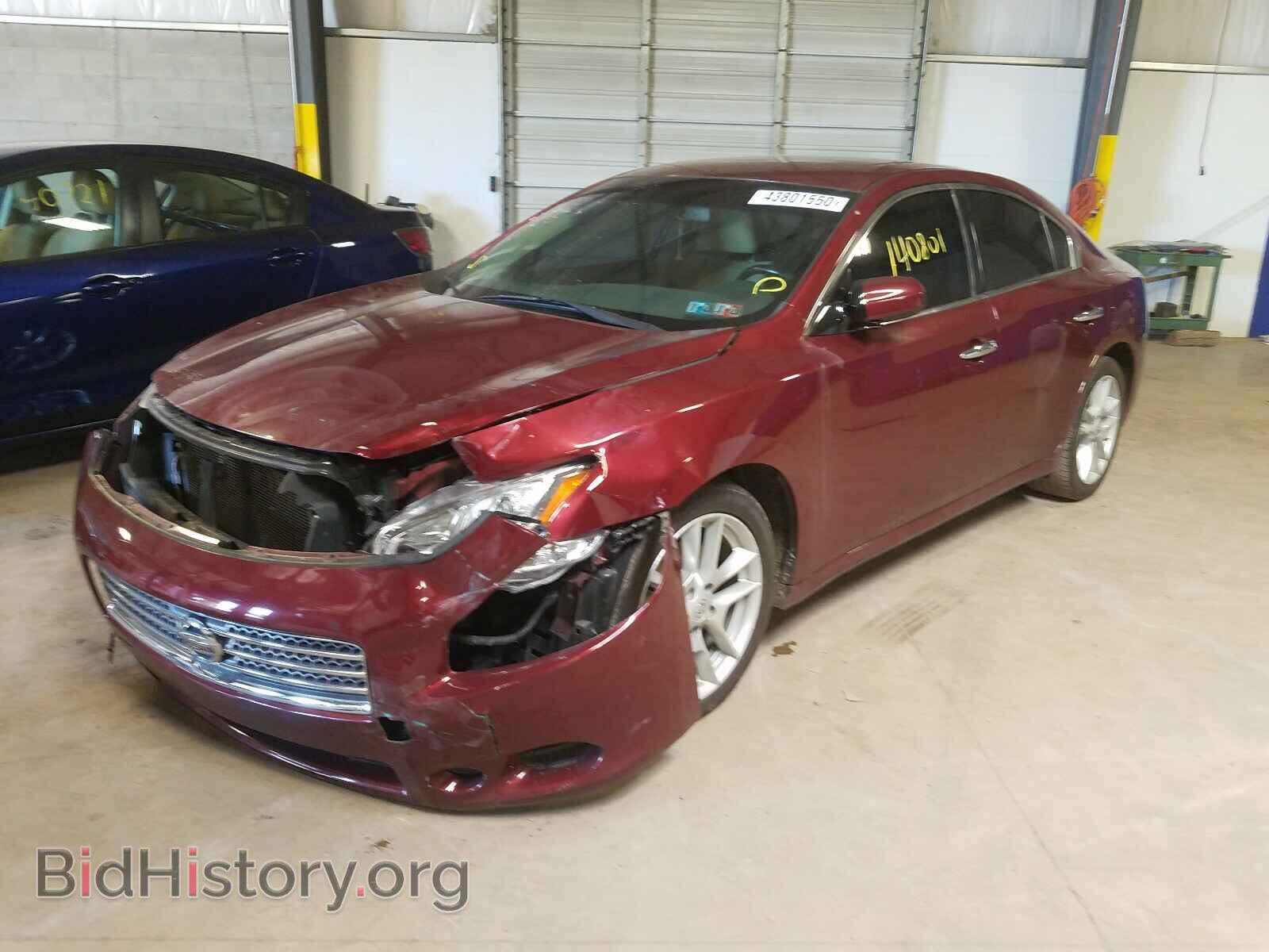 2009 NISSAN MAXIMA - VIN: 1N4AA51EX9C834352 - Photo 2