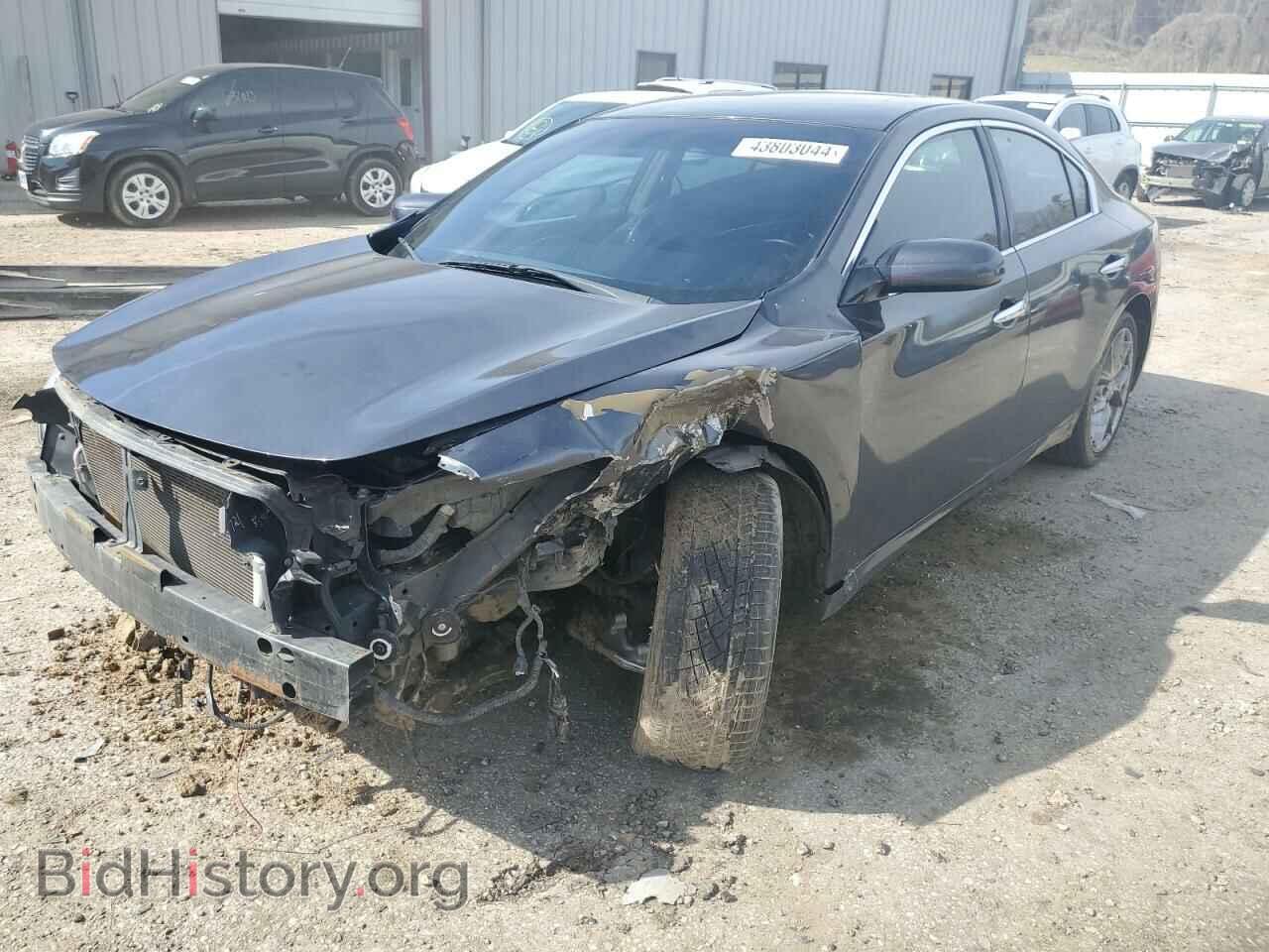 Фотография 1N4AA5AP8DC832304 - NISSAN MAXIMA 2013