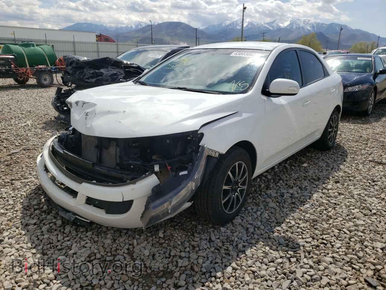 2010 KIA FORTE - VIN: KNAFU4A21A5881749 - Фото 2
