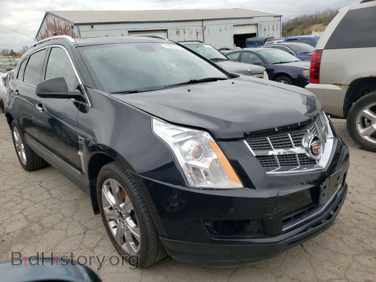 Фотография 3GYFNAEY2BS679503 - CADILLAC SRX 2011