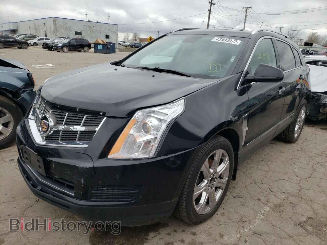 2011 CADILLAC SRX - VIN: 3GYFNAEY2BS679503 - Фото 2
