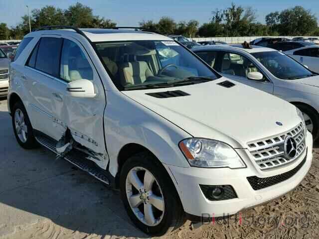 Photo 4JGBB5GB0BA650284 - MERCEDES-BENZ ML350 2011