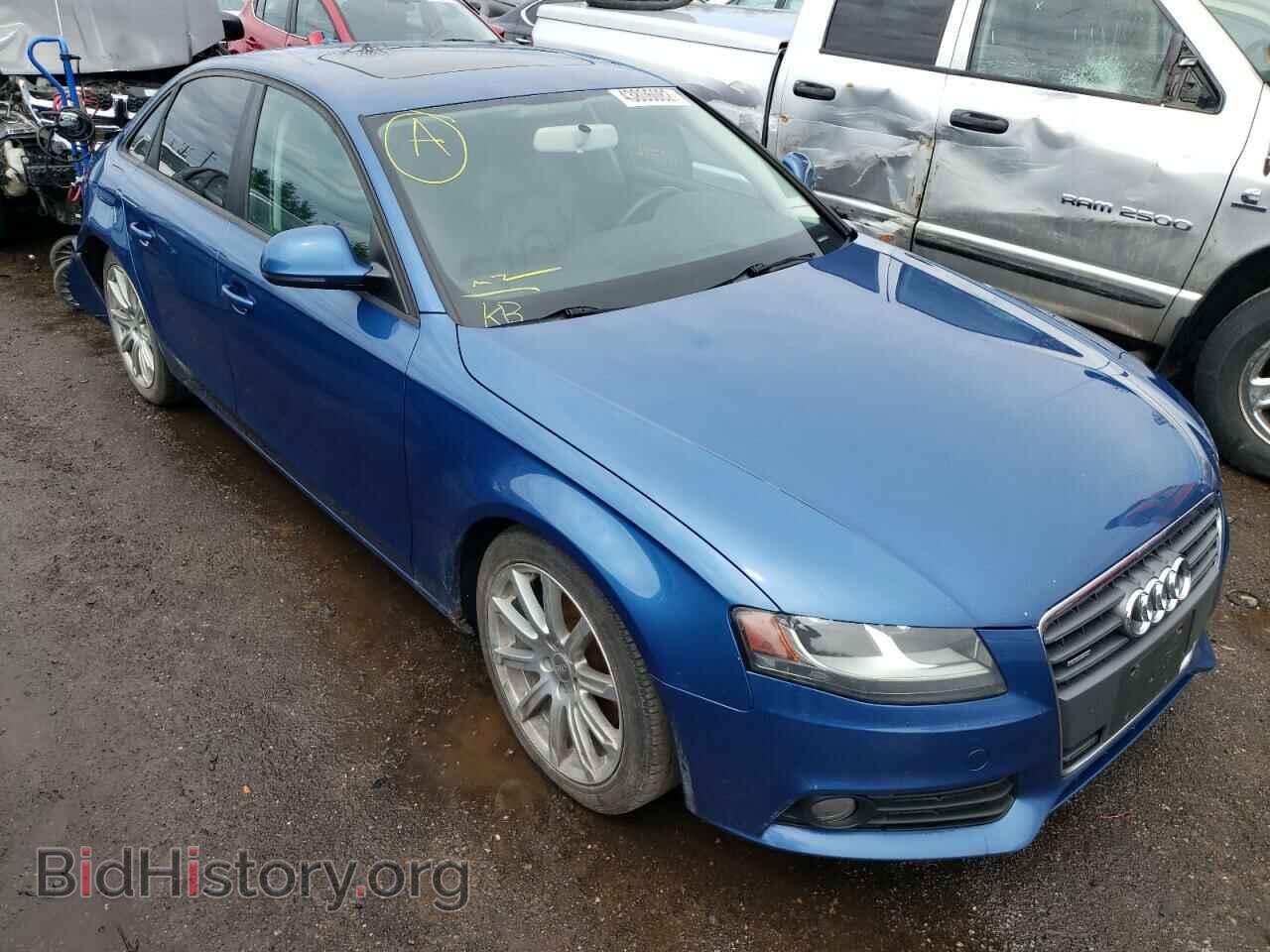 Фотография WAULF68K59N051009 - AUDI A4 2009