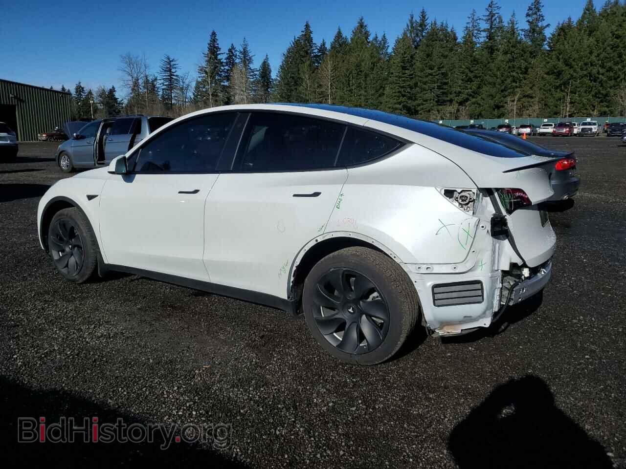 2023 TESLA MODEL Y - VIN: 7SAYGDEE0PF683083 - Photo 2