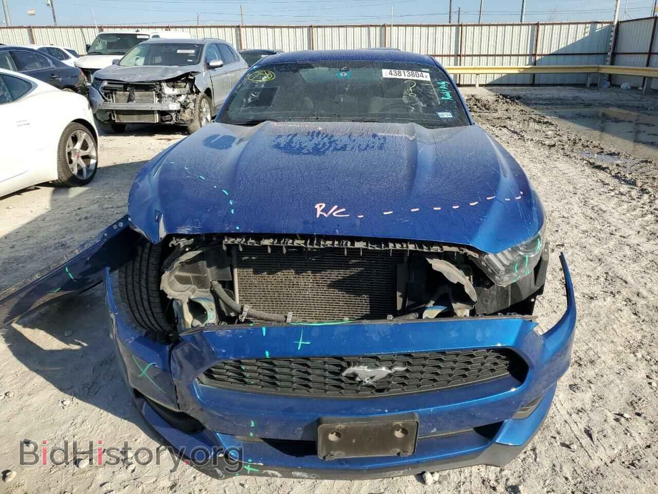 2017 FORD ALL Models - VIN: 1FA6P8AM2H5343967 - Photo 5