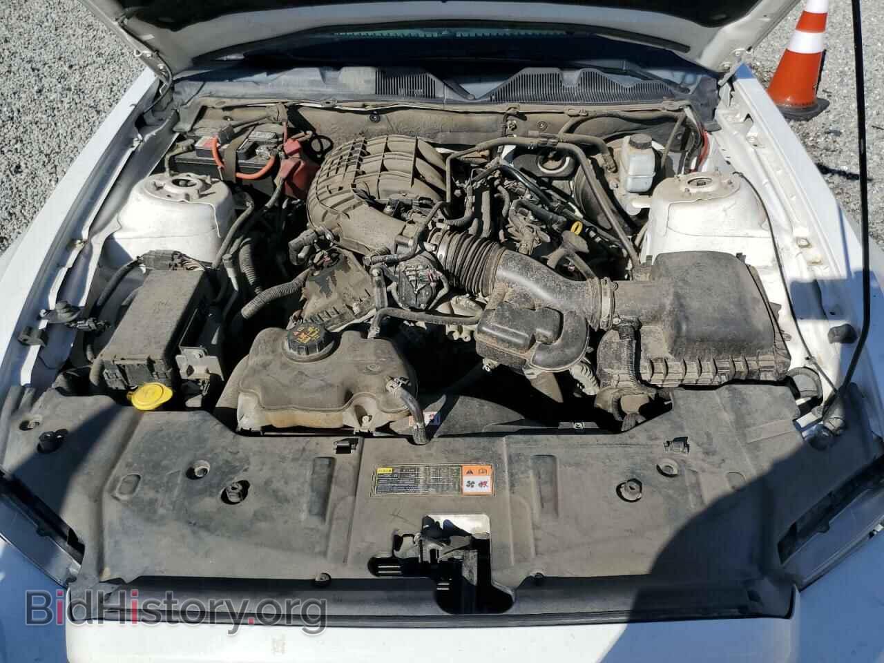2013 FORD MUSTANG - VIN: 1ZVBP8AM3D5283231 - Фото 11