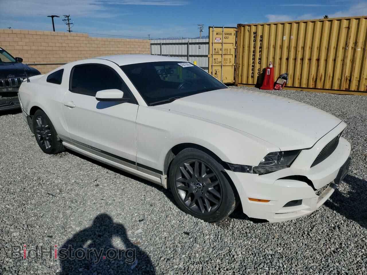 2013 FORD MUSTANG - VIN: 1ZVBP8AM3D5283231 - Фото 4