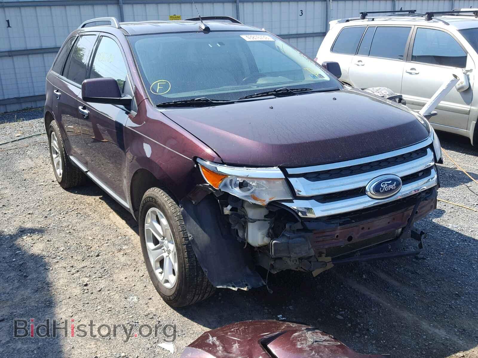 Photo 2FMDK4JC5BBA58498 - FORD EDGE SEL 2011