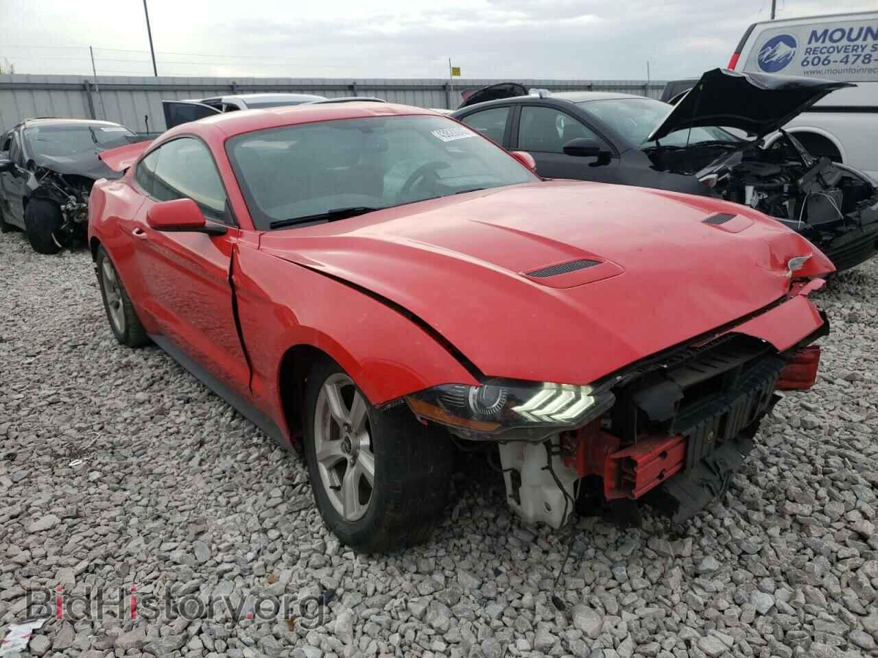 Фотография 1FA6P8TH3K5114981 - FORD MUSTANG 2019