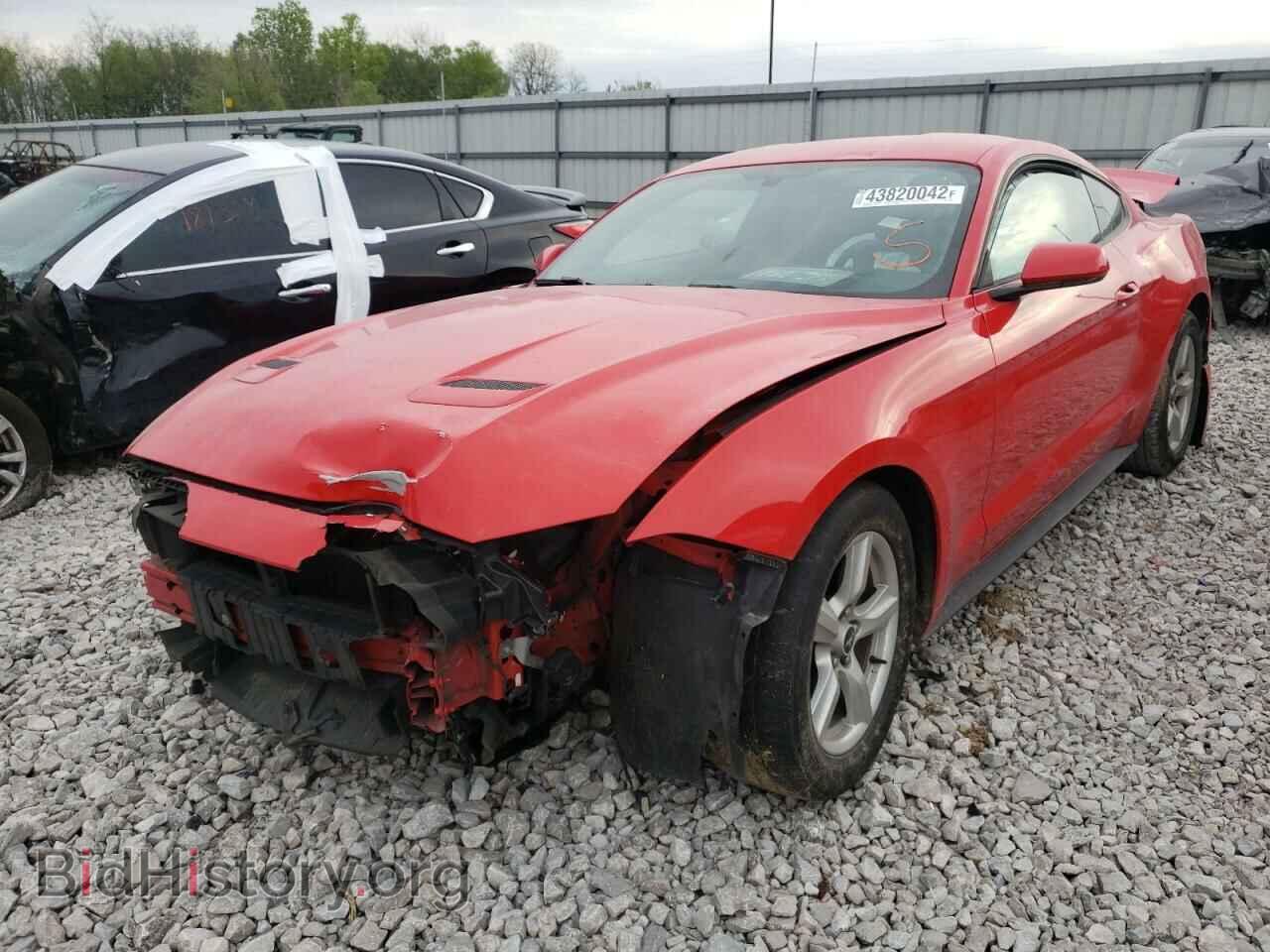 2019 FORD MUSTANG - VIN: 1FA6P8TH3K5114981 - Фото 2
