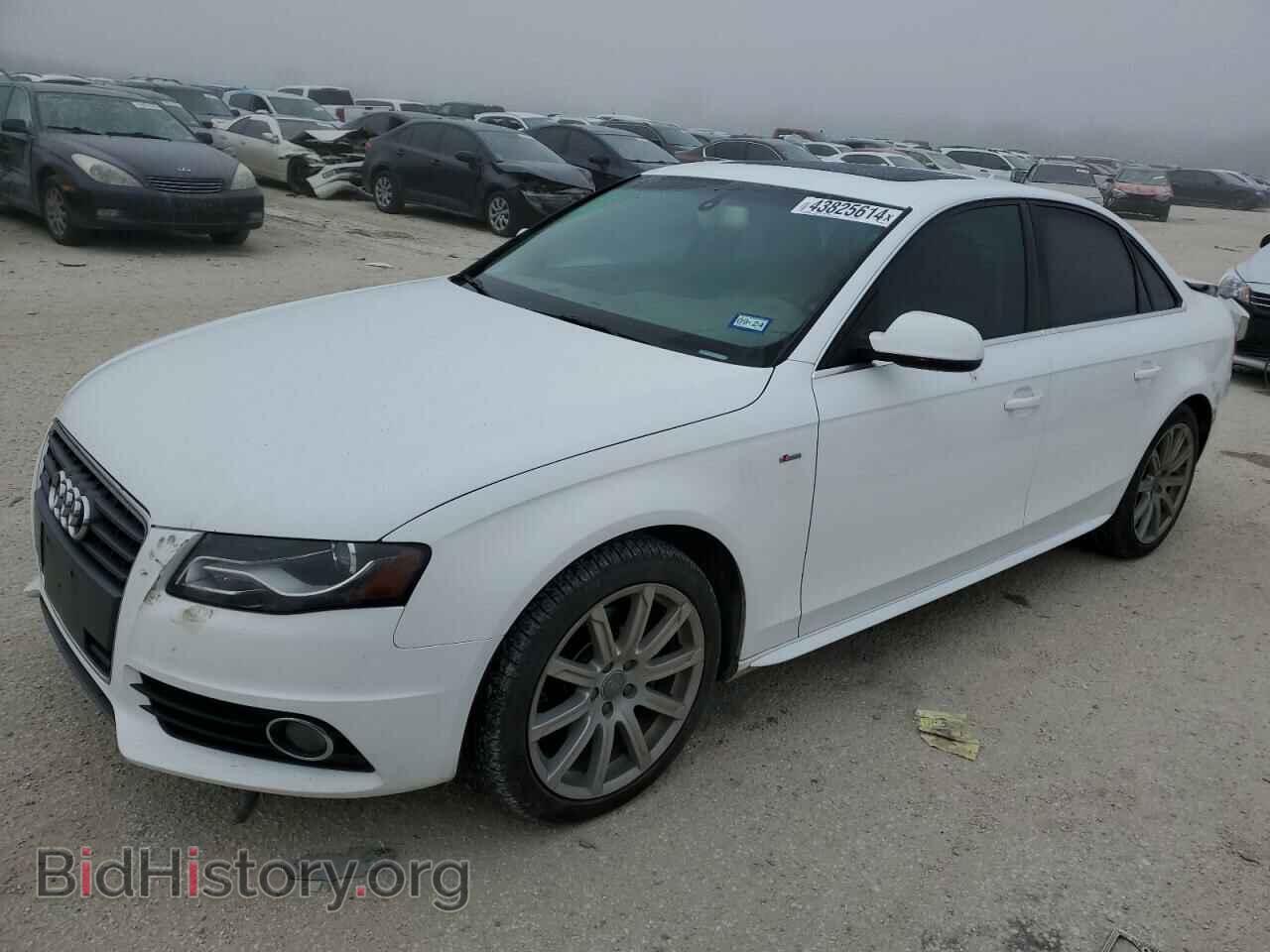 Фотография WAUFFAFL3CN006749 - AUDI A4 2012