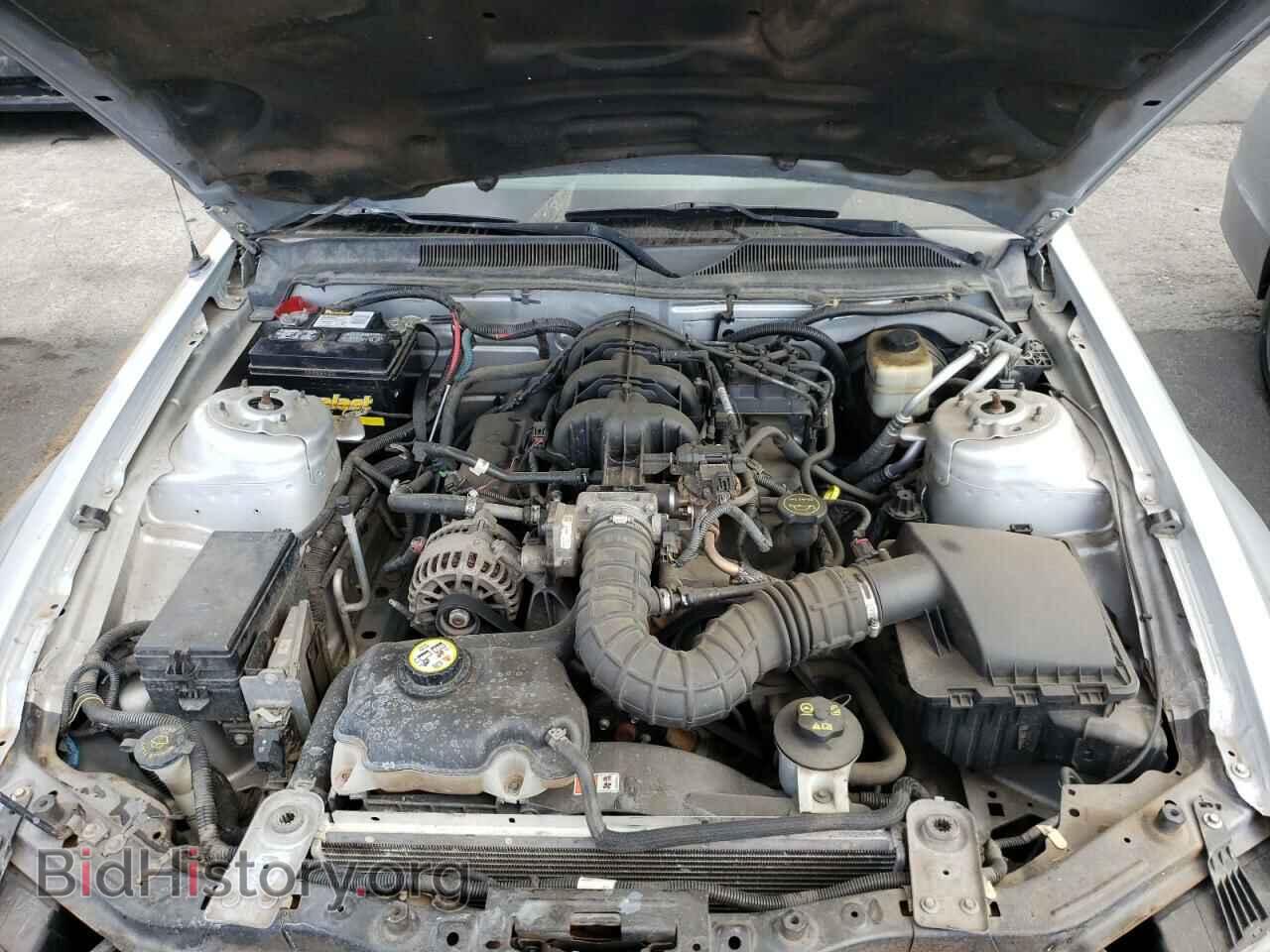 2008 FORD MUSTANG - VIN: 1ZVHT80N685199281 - Фото 7