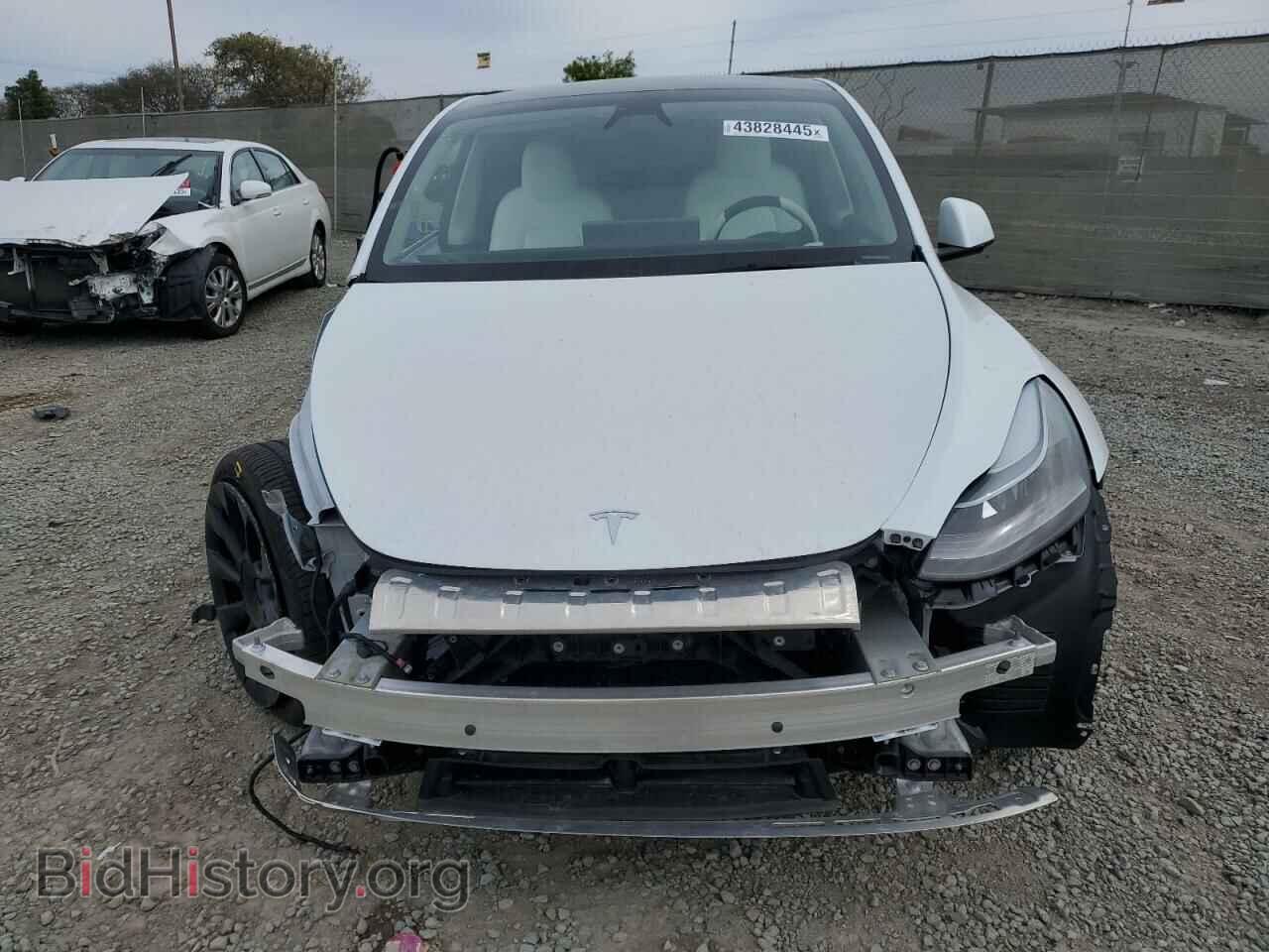 2024 TESLA MODEL Y - VIN: 7SAYGDEE4RF082262 - Фото 5
