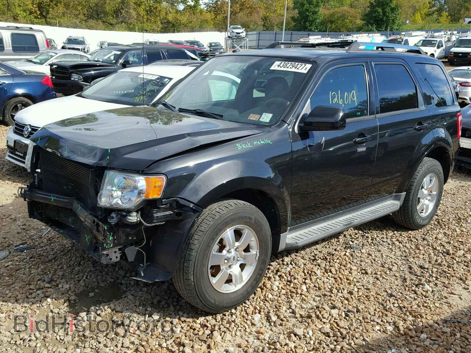 2011 FORD ESCAPE - VIN: 1FMCU0EG7BKB24437 - Фото 2