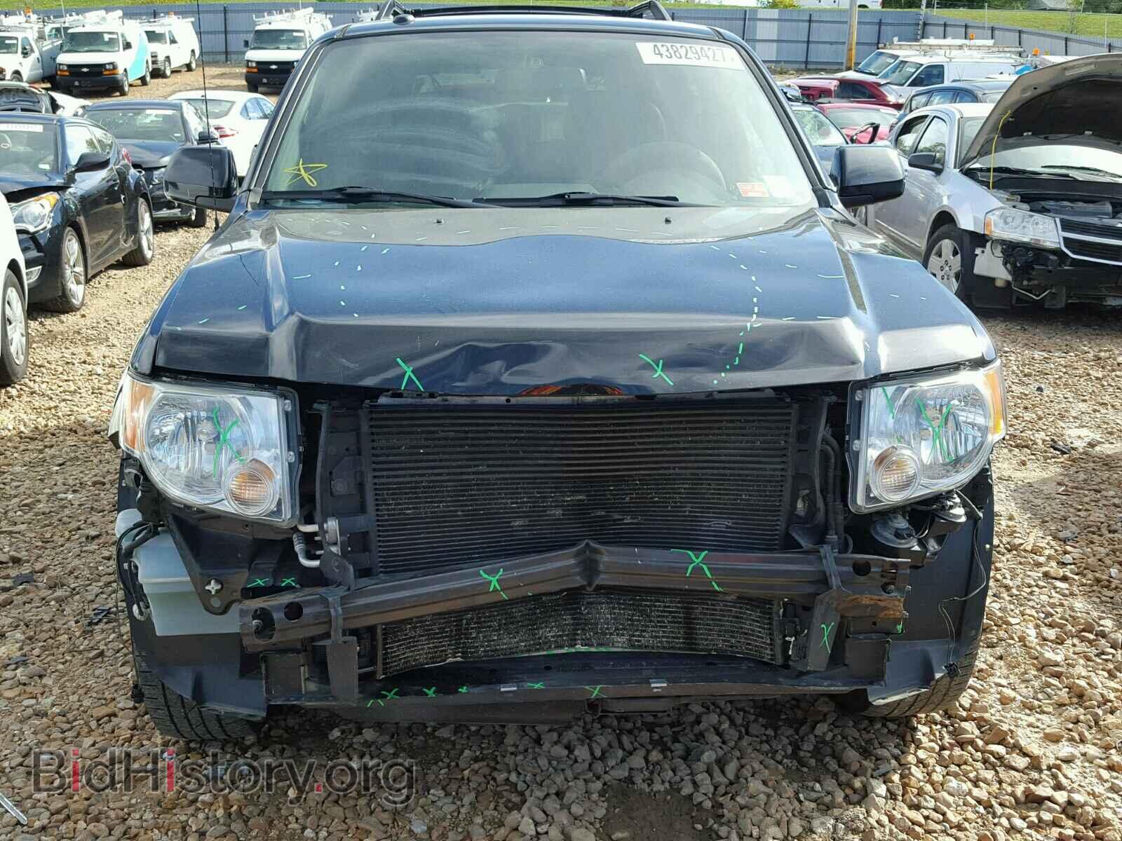 2011 FORD ESCAPE - VIN: 1FMCU0EG7BKB24437 - Фото 9