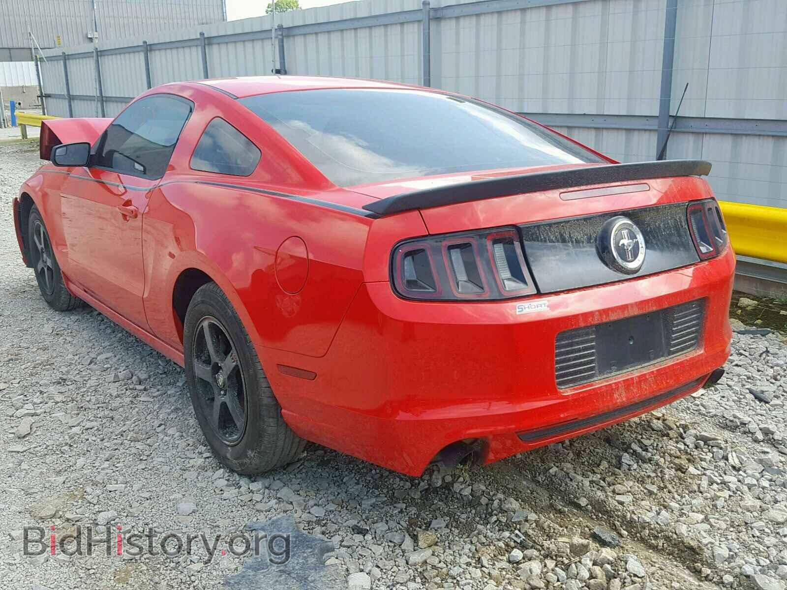 2014 FORD MUSTANG - VIN: 1ZVBP8AM4E5277374 - Фото 3