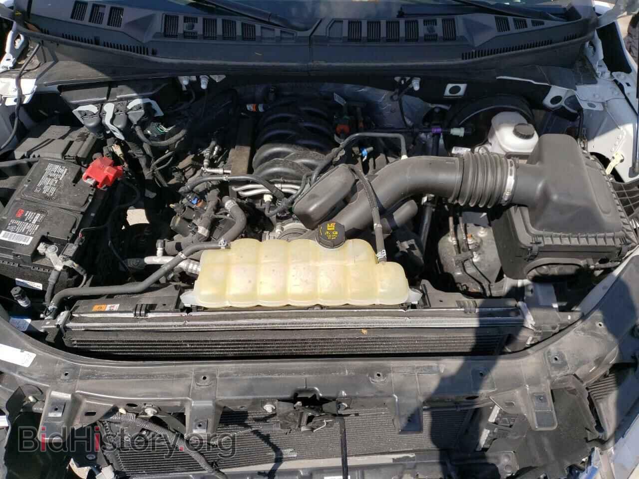 2019 FORD F150 - VIN: 1FTMF1C50KKE18921 - Фото 7