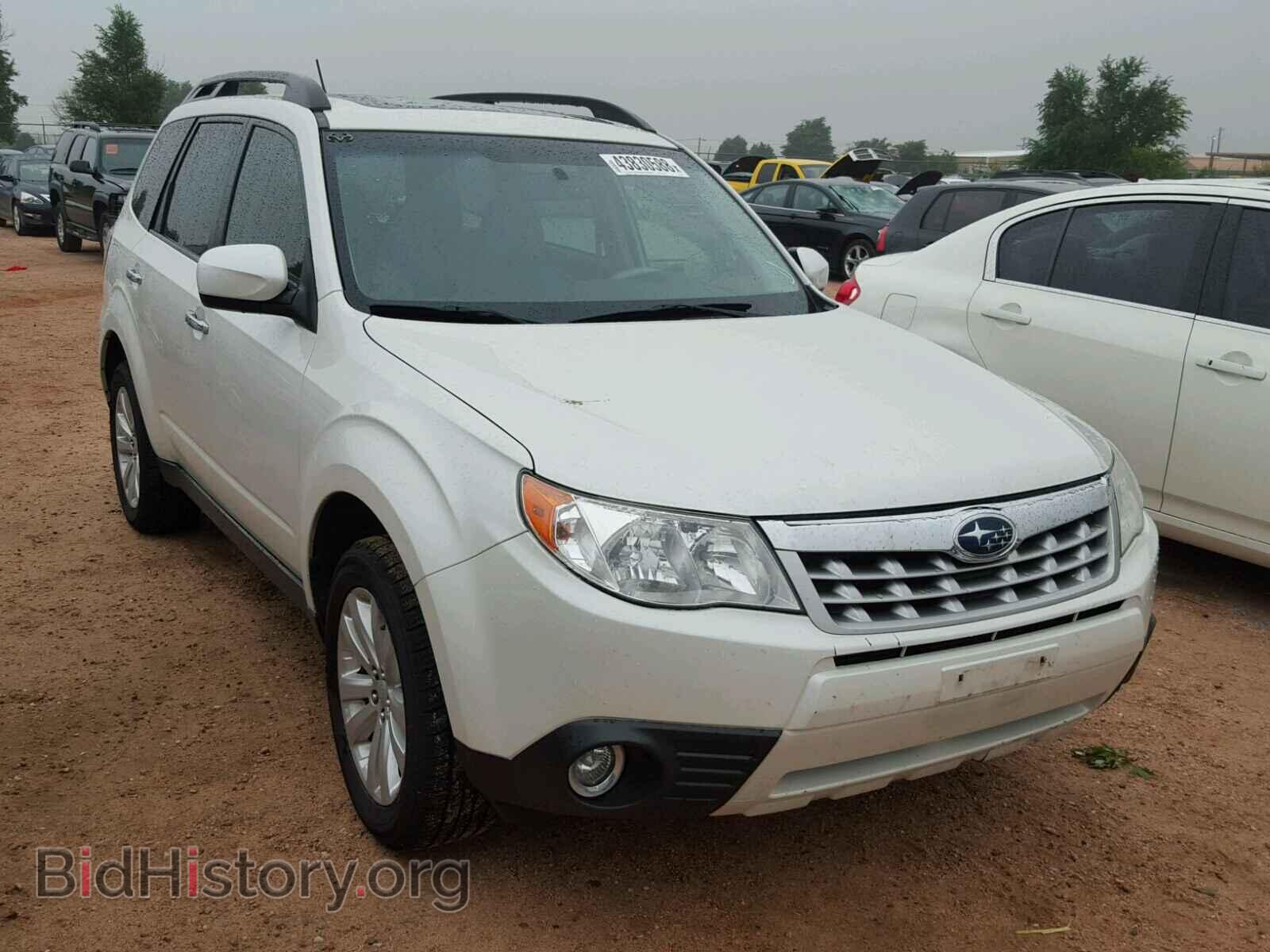 Фотография JF2SHADC4DH415519 - SUBARU FORESTER 2013