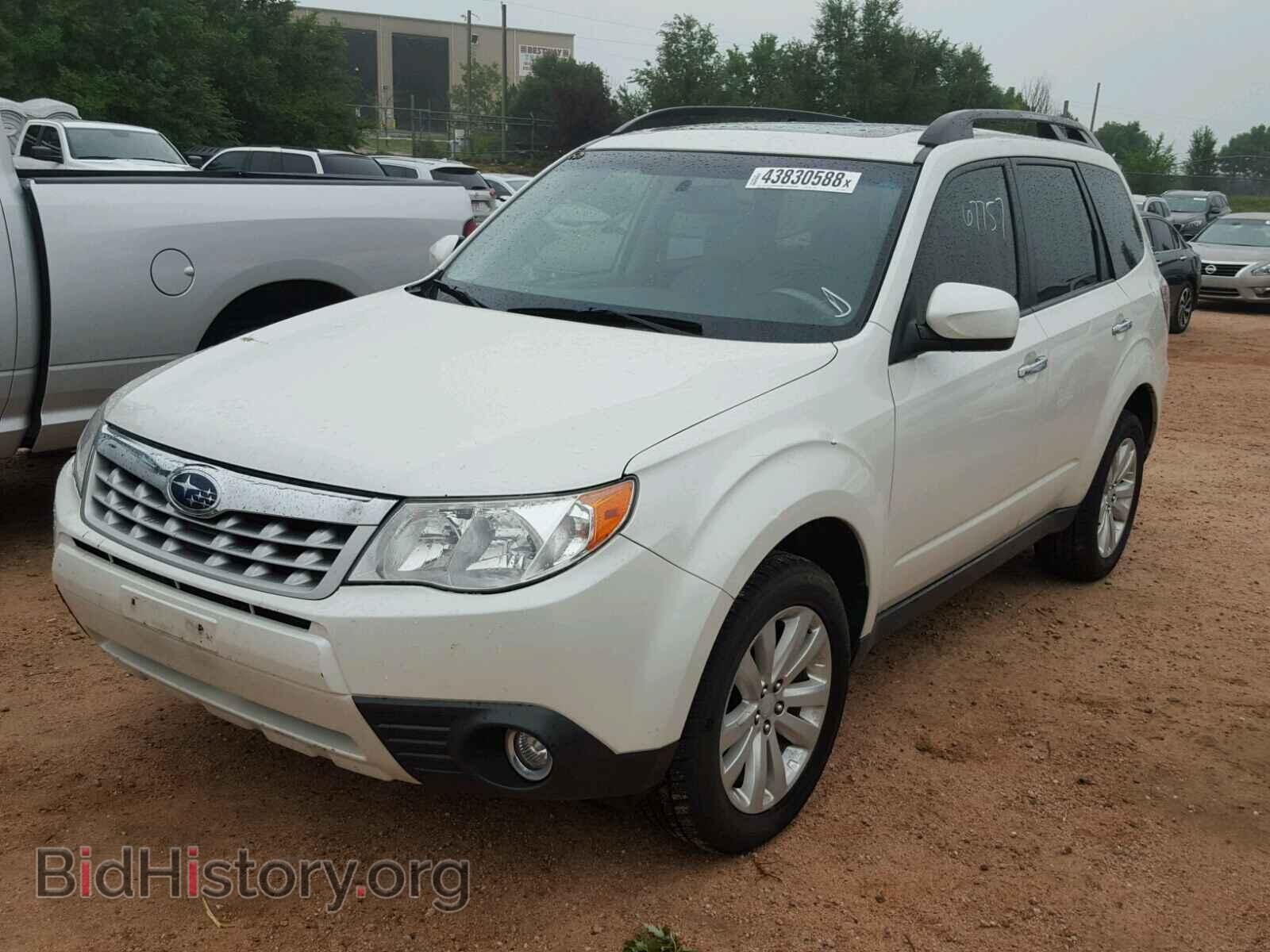 2013 SUBARU FORESTER - VIN: JF2SHADC4DH415519 - Фото 2