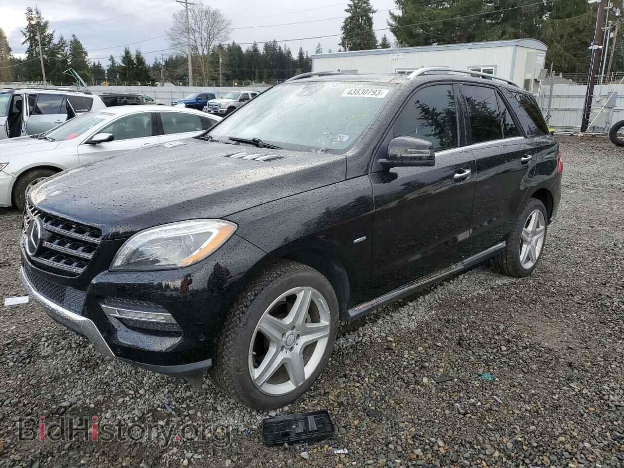 Photo 4JGDA2EB8CA074801 - MERCEDES-BENZ M-CLASS 2012