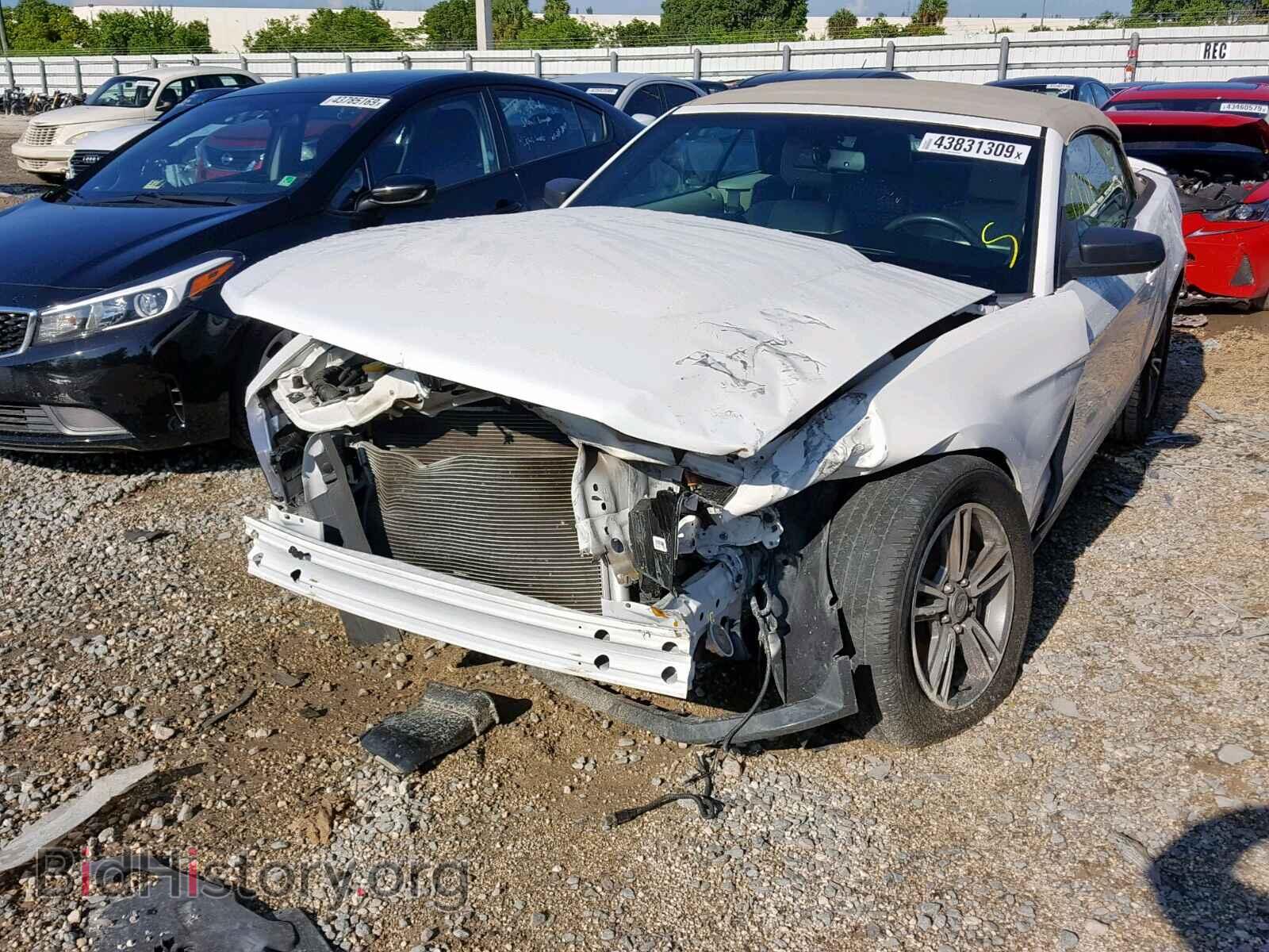 2011 FORD MUSTANG - VIN: 1ZVBP8EM3B5117864 - Фото 2
