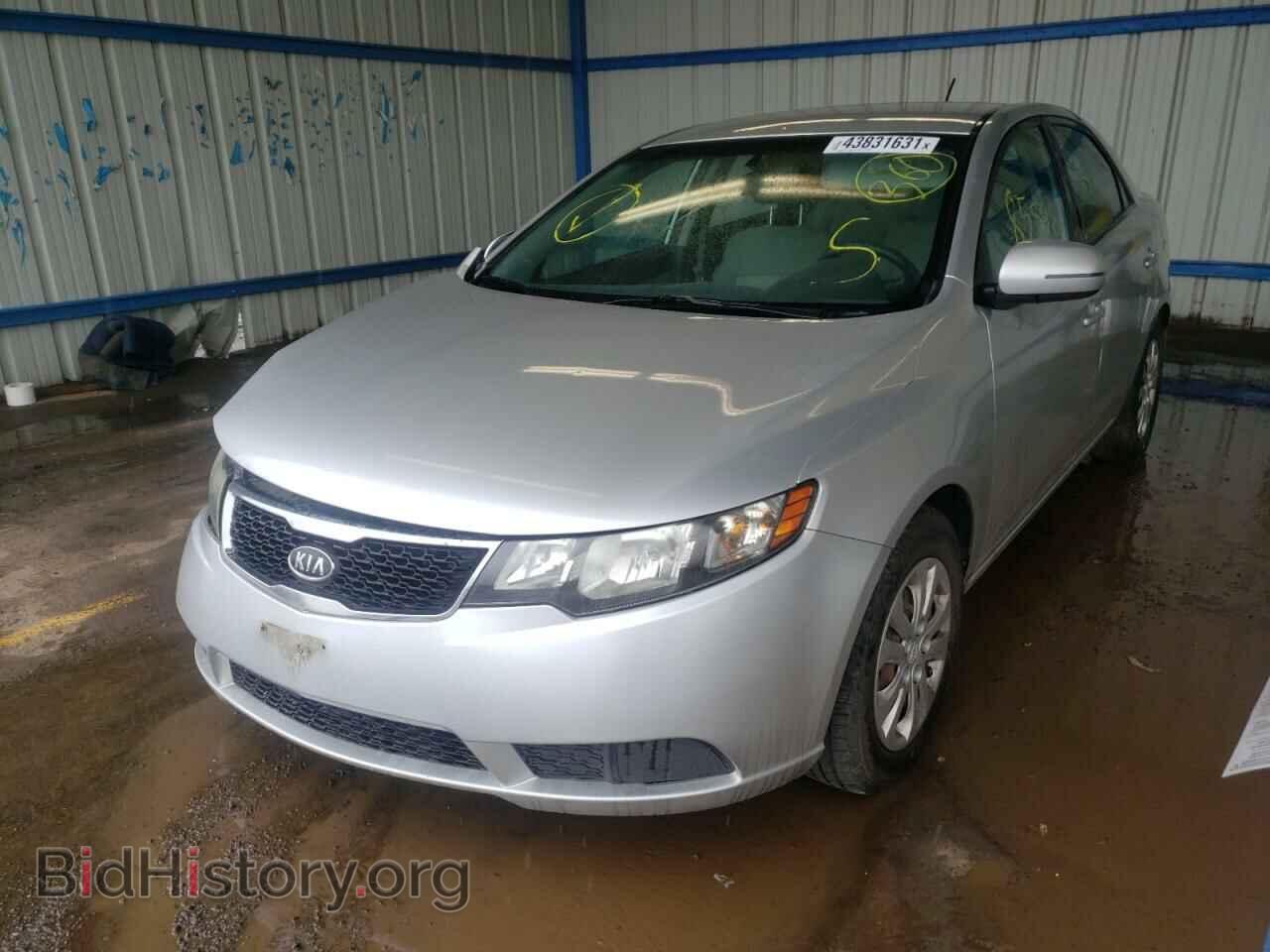 2011 KIA FORTE - VIN: KNAFU4A28B5425023 - Фото 2