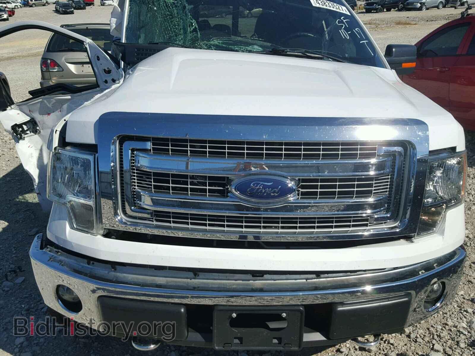 2014 FORD F150 - VIN: 1FTFX1EF2EKG44636 - Фото 7