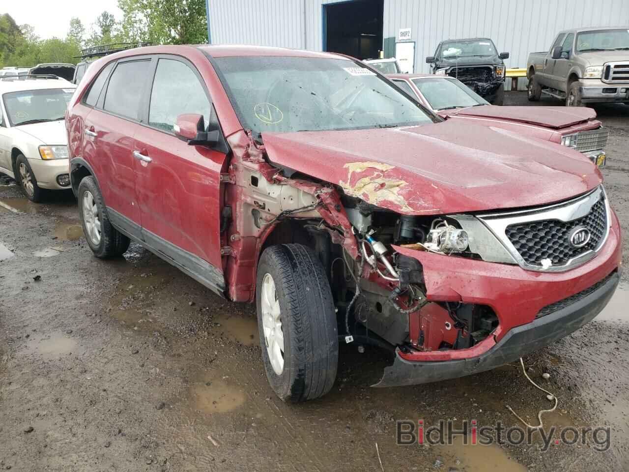 Photo 5XYKT3A15BG005281 - KIA SORENTO 2011