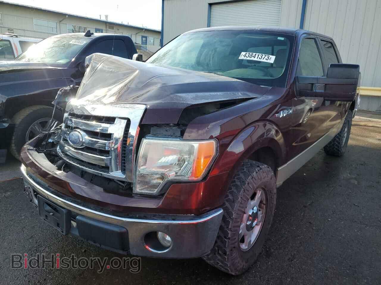 Photo 1FTRW12829KC77698 - FORD F-150 2009