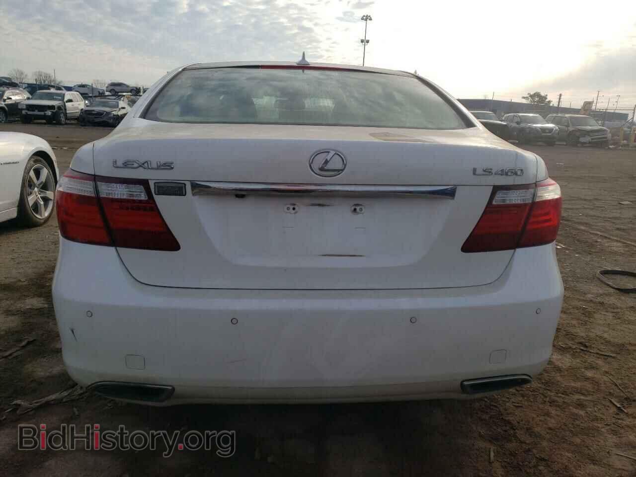2008 LEXUS LS460 - VIN: JTHBL46F085084160 - Фото 6
