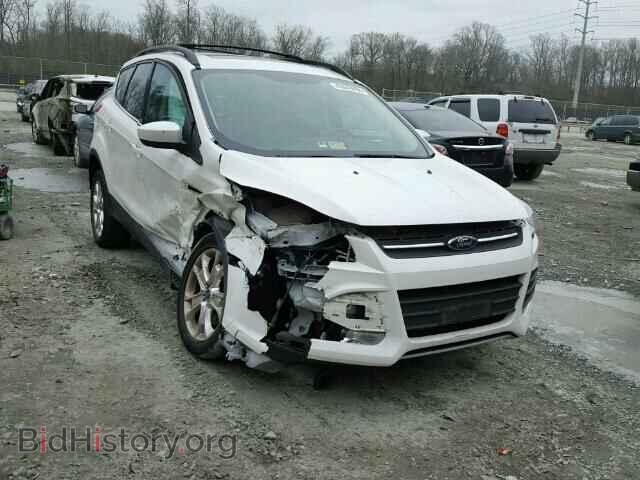 Photo 1FMCU9G94DUB60970 - FORD ESCAPE 2013
