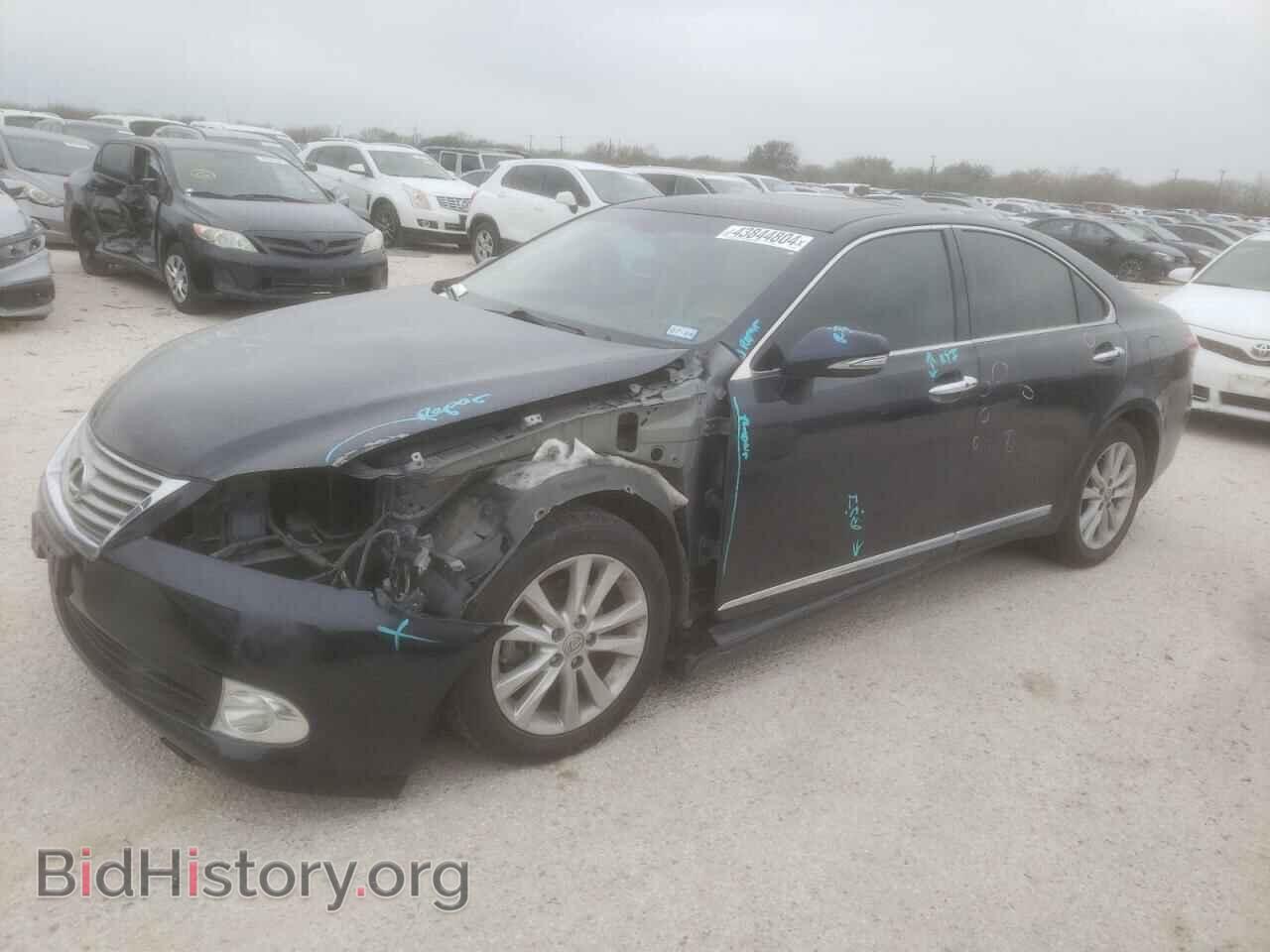 Photo JTHBK1EG4A2382231 - LEXUS ES350 2010