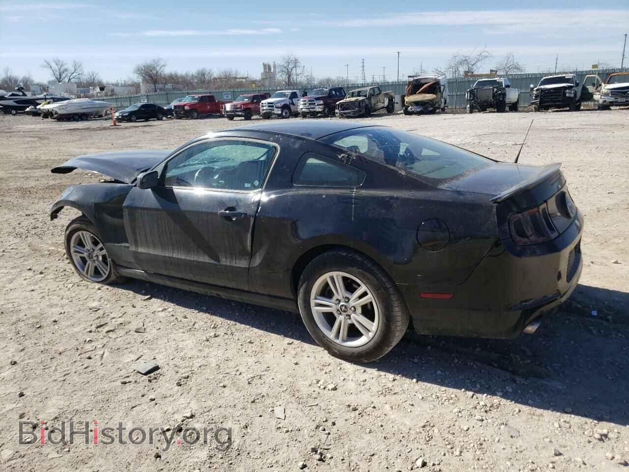2013 FORD ALL Models - VIN: 1ZVBP8AM4D5232479 - Фото 2