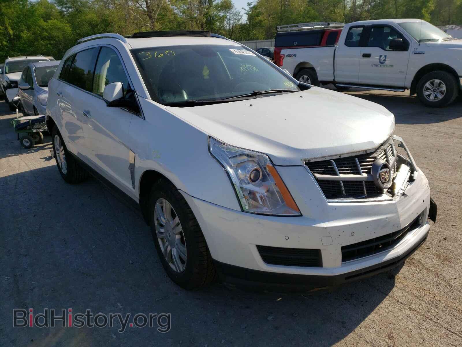 Photo 3GYFNDEY6BS629835 - CADILLAC SRX 2011