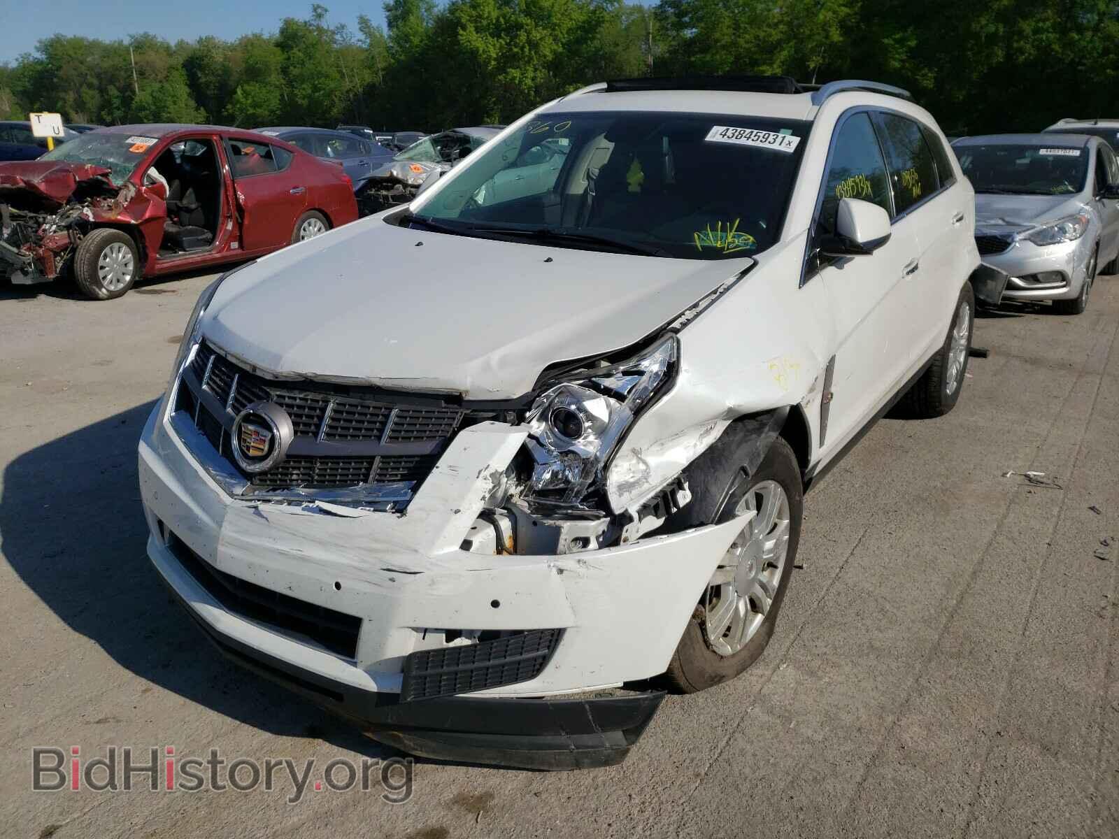 2011 CADILLAC SRX - VIN: 3GYFNDEY6BS629835 - Фото 2