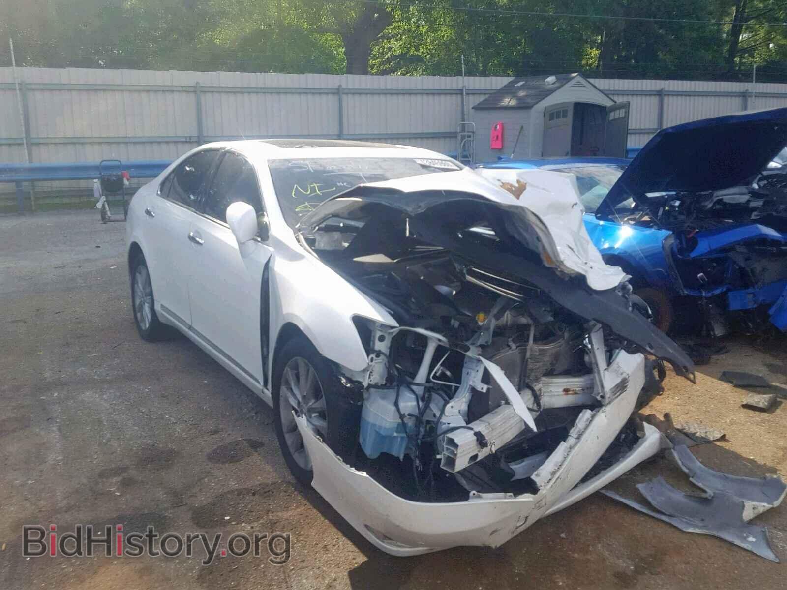 Photo JTHBK1EG7C2483315 - LEXUS ES350 2012