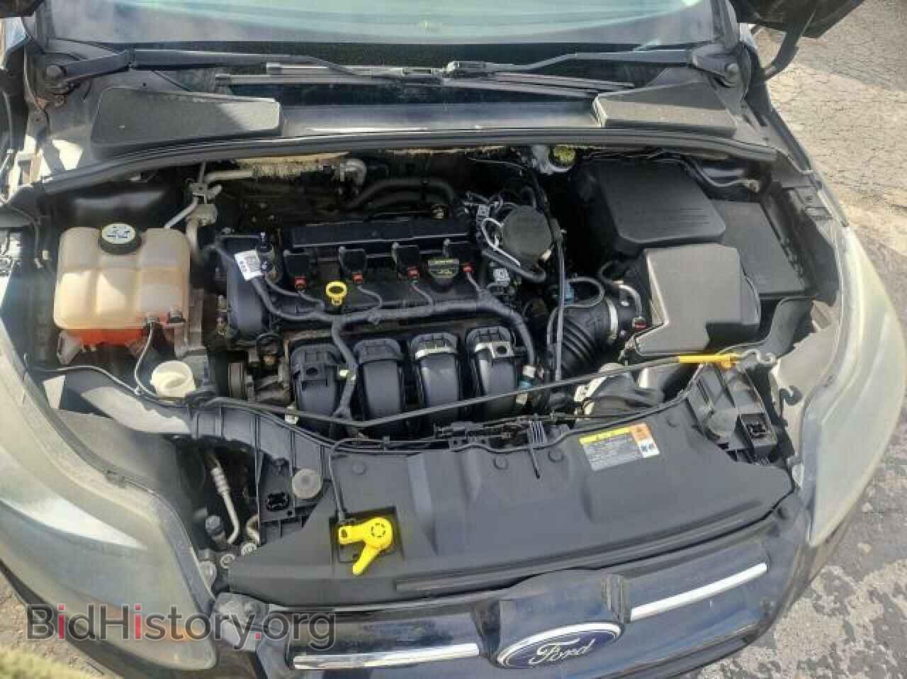 2013 FORD FOCUS - VIN: 1FADP3N23DL105439 - Фото 7
