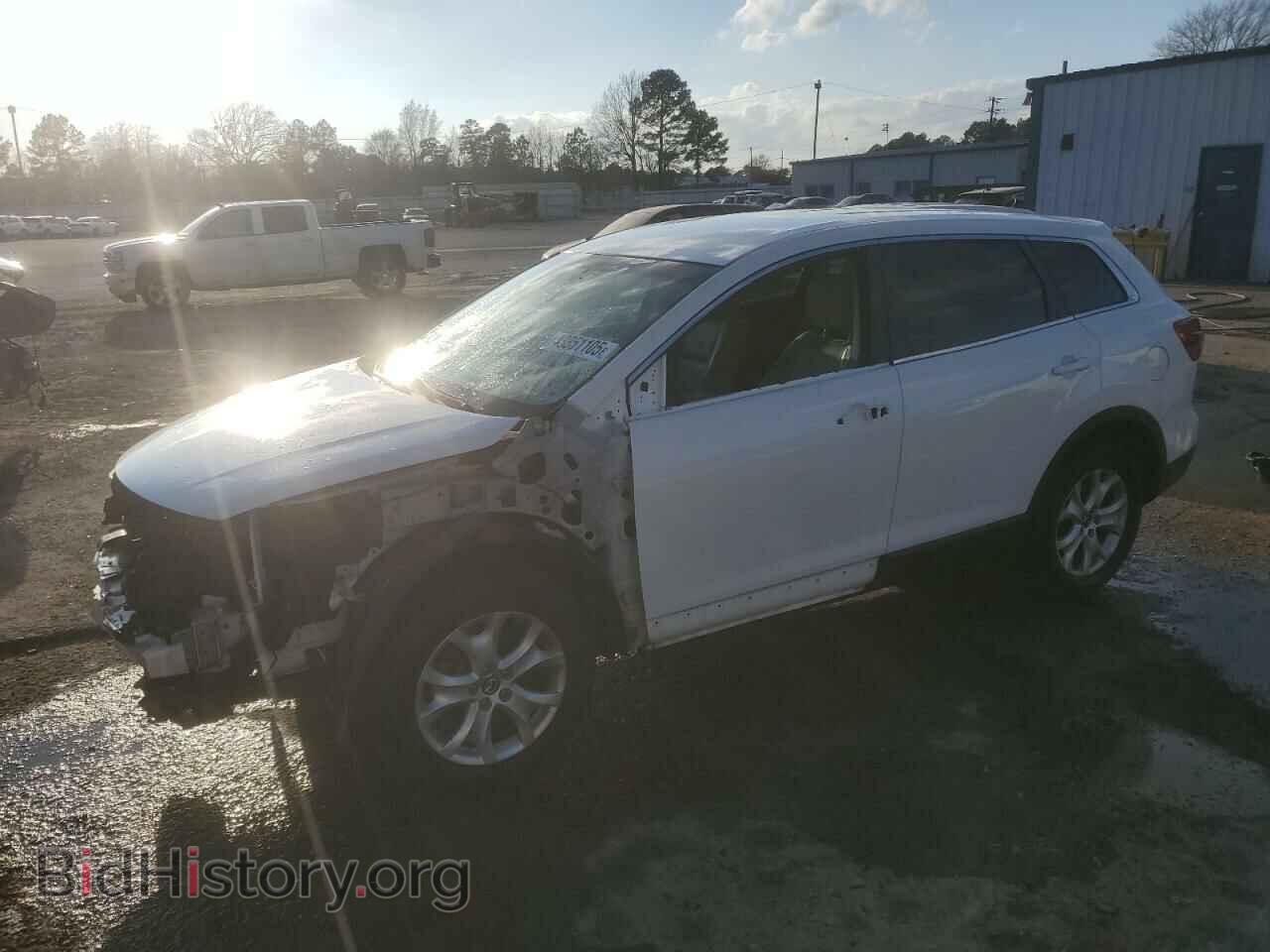 Photo JM3TB2CA1D0404347 - MAZDA CX-9 2013