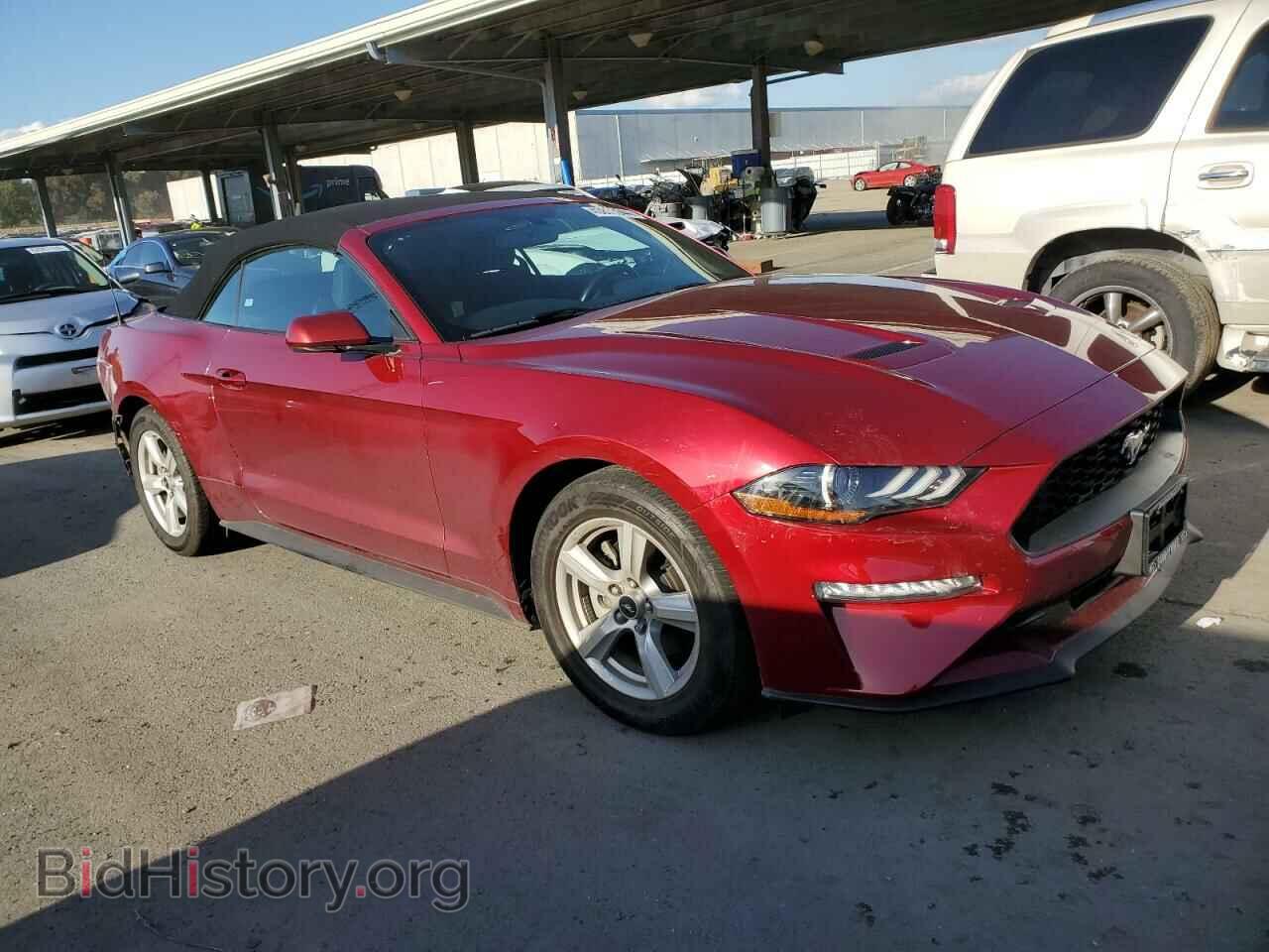 2019 FORD ALL Models - VIN: 1FATP8UH1K5140335 - Photo 4